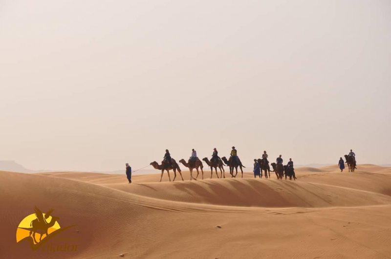 Paseo en dromedario por Marruecos
