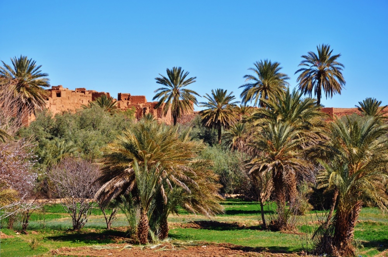 Organizar rutas por Marruecos