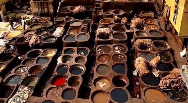 Visitar Fez con guía oficial o sin guía (7)