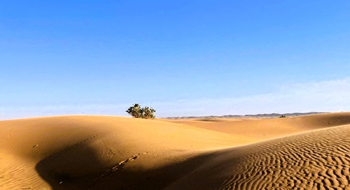 rutas por marruecos ali Cuál es la mejor agencia para hacer tours privados por Marruecos (2)