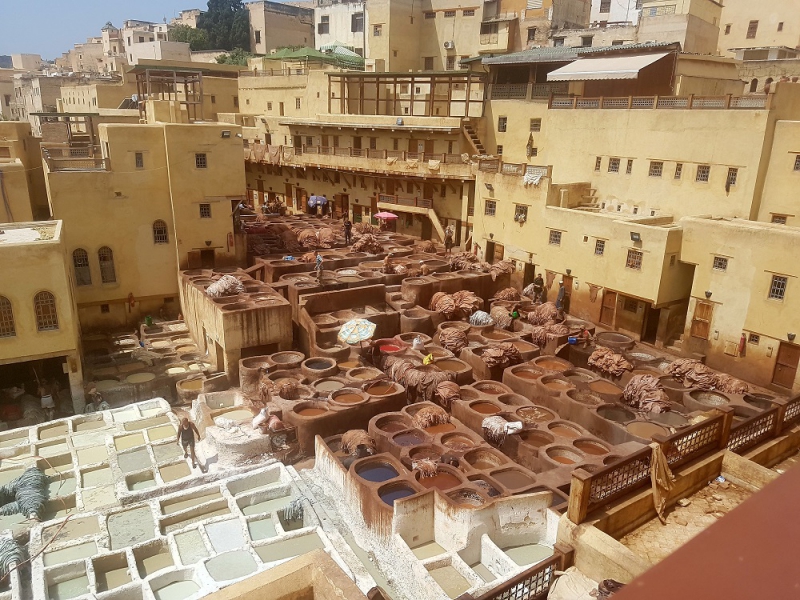  La curtiduría de Chouara en la medina de Fez