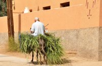 El valle del Ziz, al paso de muchas rutas por Marruecos