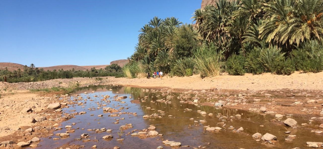 Oasis Fint, un paraje al lado de la ciudad de Ouarzazate