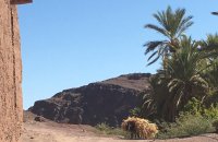 Oasis Fint, un paraje al lado de la ciudad de Ouarzazate