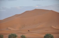 Dromedario Volador Nº.1 en organizar rutas por Marruecos, en Ouarzazate 