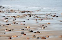 De rutas por Marruecos, hasta la playa de Legzira