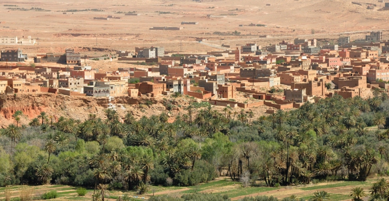 Tinerhir y el magnífico palmeral, antesala de las gargantas del Todra en Marruecos