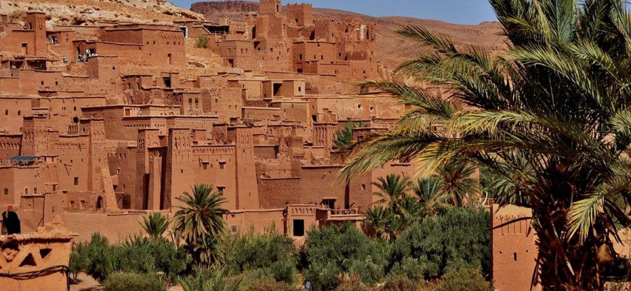 Ruta de las Mil Kasbahs con Dromedario Volador