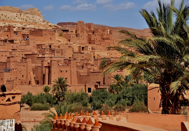 Ruta de las Mil Kasbahs con Dromedario Volador