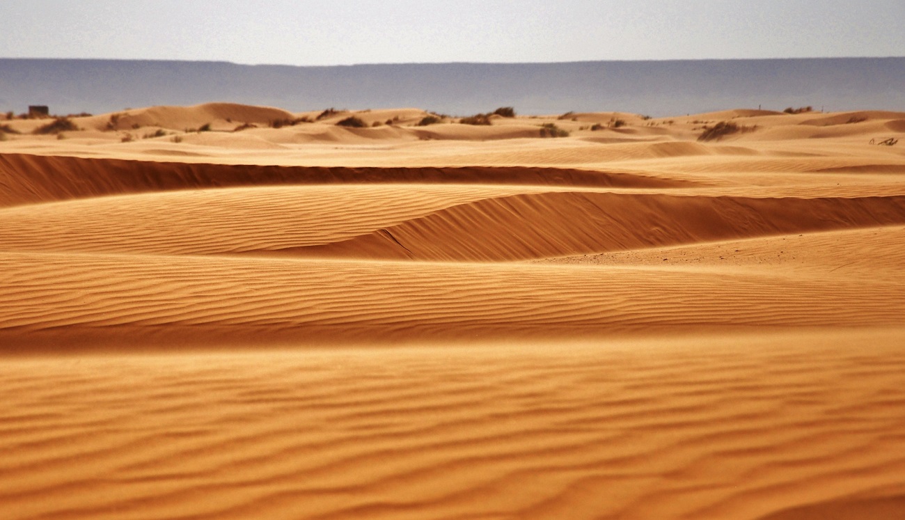 Cómo es el desierto de Marruecos y sus características? | Rutas por  Marruecos
