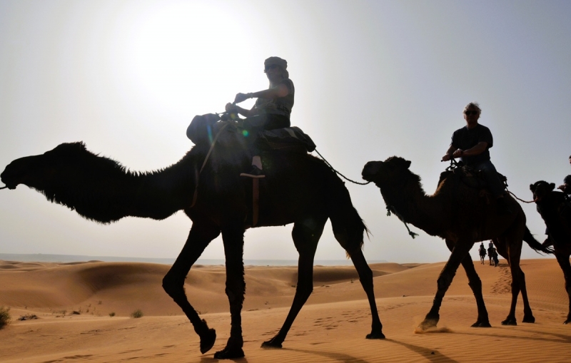 Viaje Privado por Marruecos: Descubre el desierto del Sahara y las Ciudades Imperiales a tu ritmo