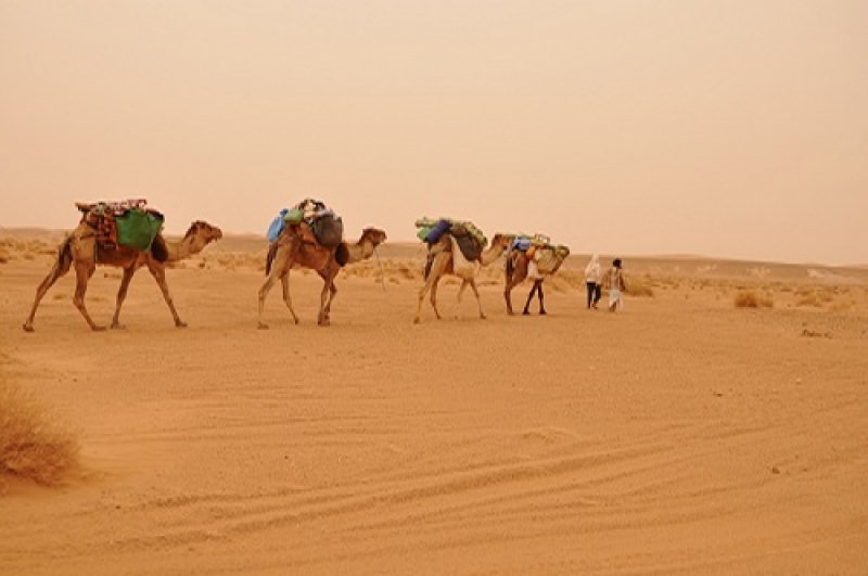 Los viajes por el desierto de los nómadas