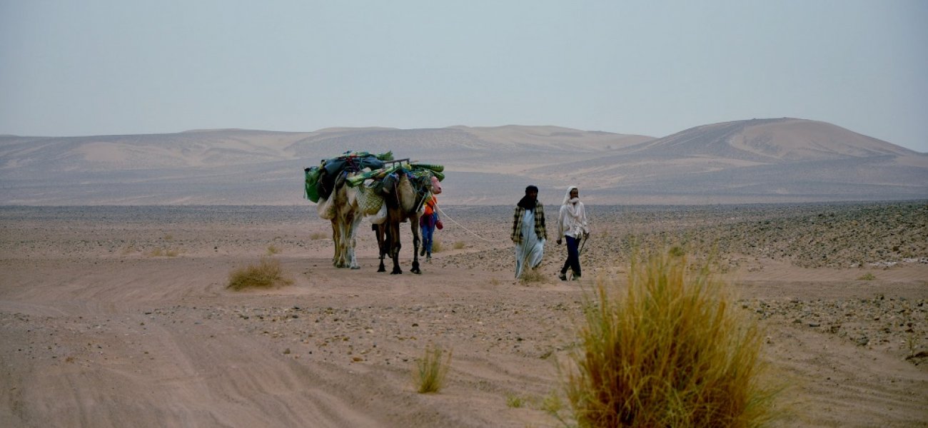 Trekking por el desierto de Marruecos