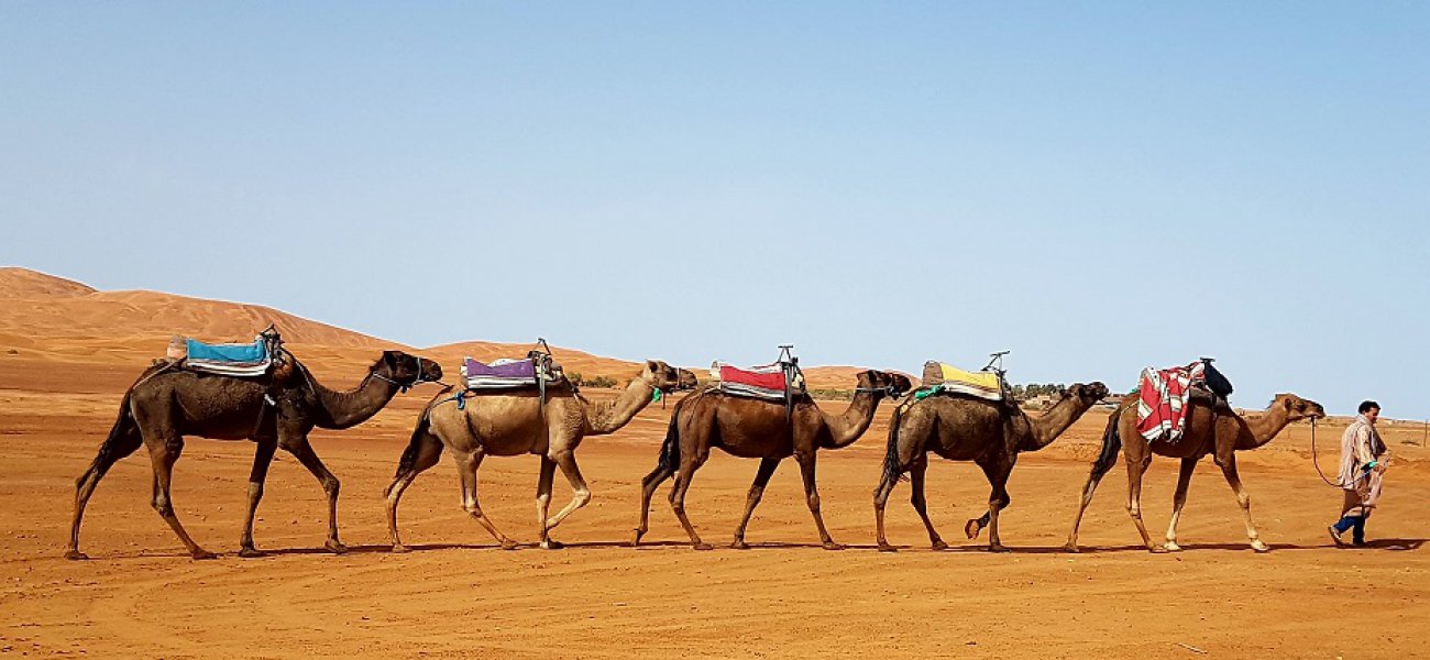 Route through Morocco from Marrakesh to Fez 4 days / 3 nights