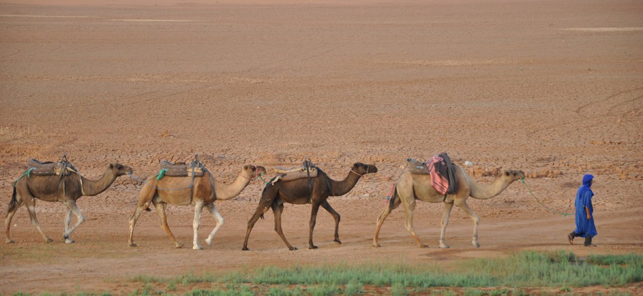 Ruta “express” desde Ouarzazate y vuelta a Ouarzazate 