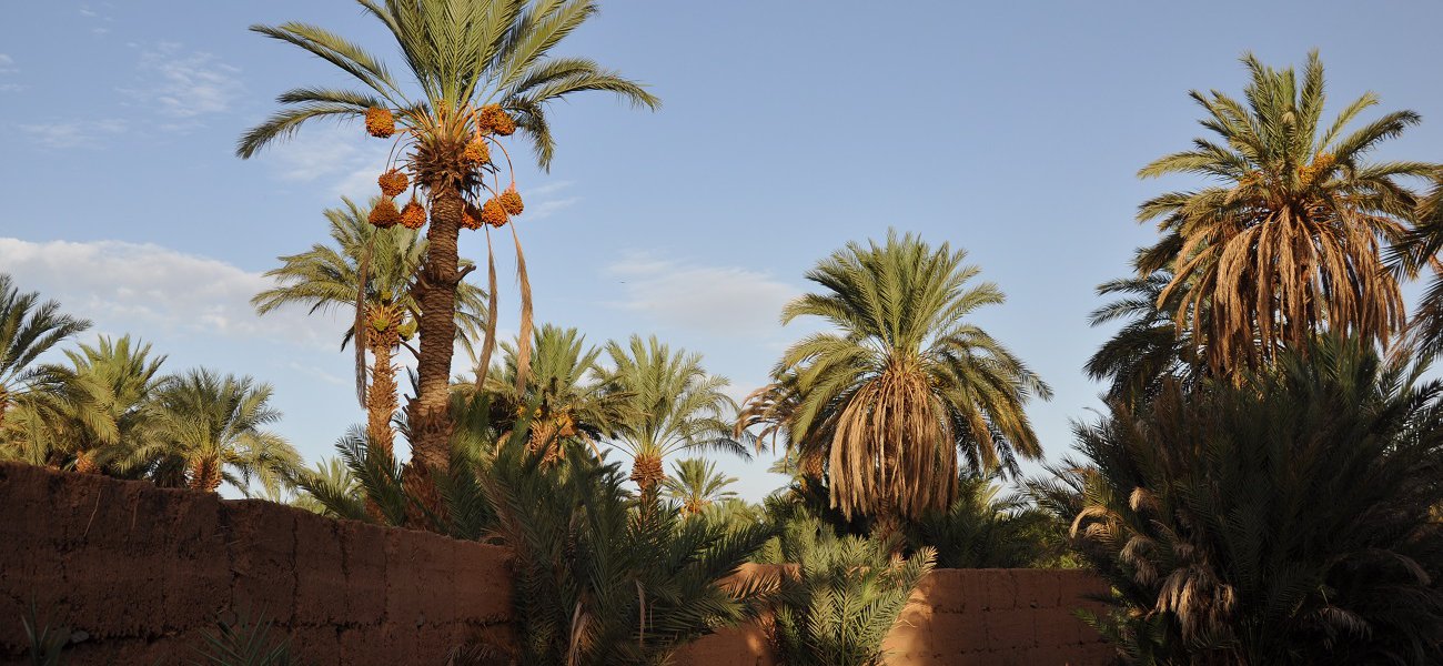 Ruta de 12 días desde Casablanca a Marrakech