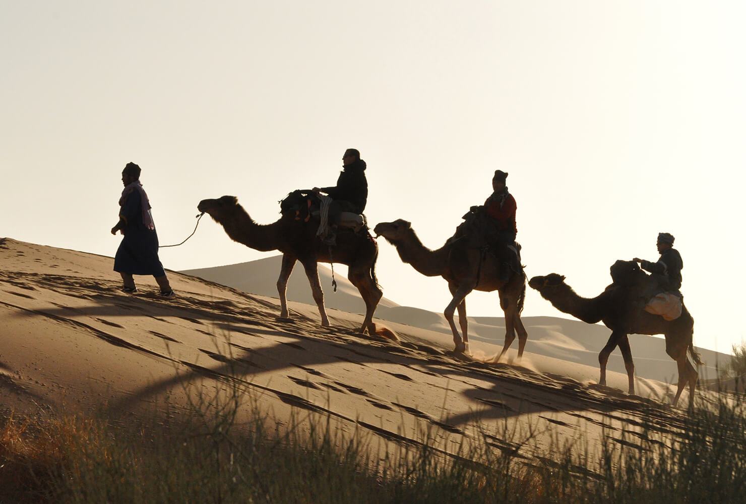 desert routes morocco