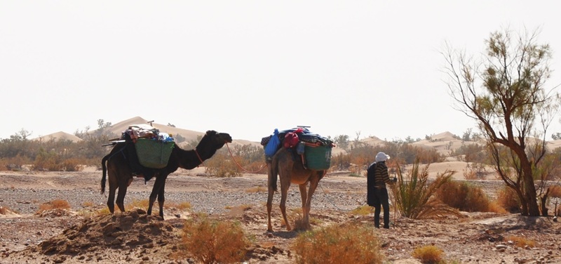 Viajar al desierto de Marruecos: lo que nunca debes hacer 3 Desierto de Chigaga en Marruecos