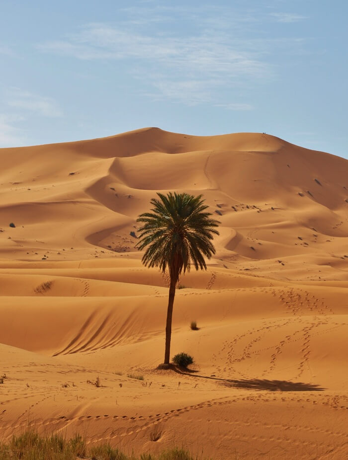 Viajar al desierto de Marruecos: lo que nunca debes hacer 4 Dunas de Erg Chebbi en el desierto de Merzouga