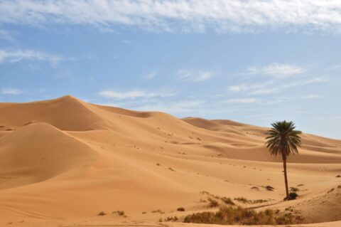 Viajar al desierto de Marruecos
