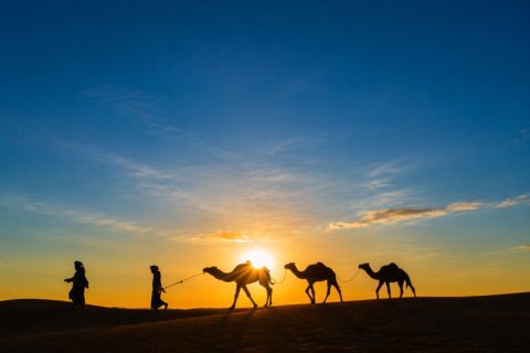 Cómo elegir una agencia local para viajar a Marruecos 2 rutas por marruecos ali Mejor agencia para viajar a Marruecos 5 1