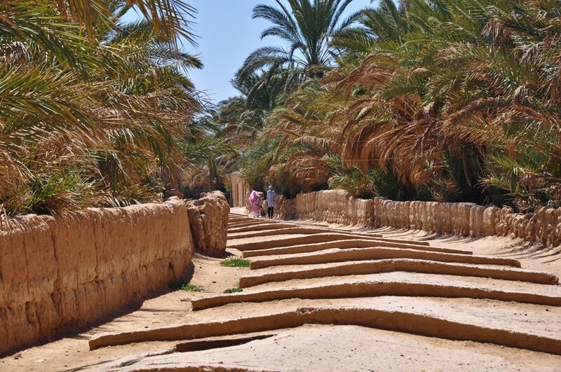 Hacer fotografías en Marruecos: qué puedes fotografiar y qué conviene evitar 4 Camino entre palmeras y construcciones de adobe en Marruecos