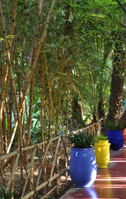 rutas por marruecos ali Merece la pena visitar el jardin Majorelle en Marrakech 2