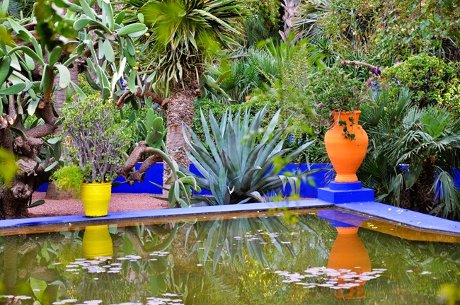 rutas por marruecos ali Merece la pena visitar el jardin Majorelle en Marrakech 3
