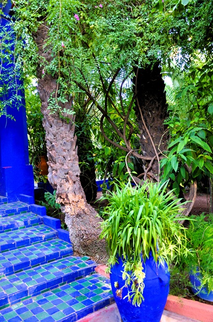 rutas por marruecos ali Merece la pena visitar el jardin Majorelle en Marrakech 4