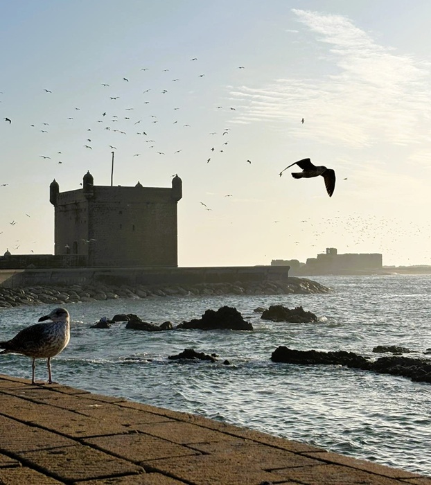 Qué ver en Essaouira: los lugares imprescindibles y nuestros consejos para disfrutarla 3 rutas por marruecos ali Que ver en Essaouira 3