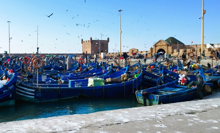 Qué ver en Essaouira: los lugares imprescindibles y nuestros consejos para disfrutarla 6 rutas por marruecos ali Que ver en Essaouira 6