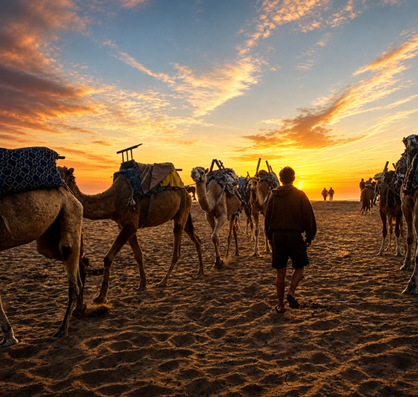 Qué ver en Essaouira: los lugares imprescindibles y nuestros consejos para disfrutarla 8 rutas por marruecos ali Que ver en Essaouira 9