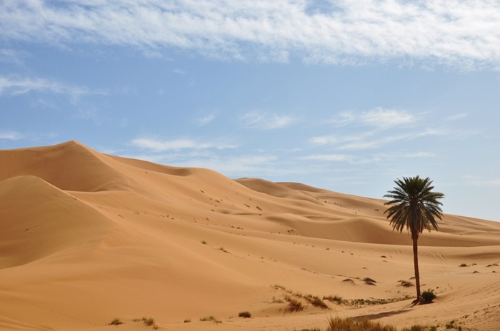 Rissani, la ciudad de los antiguos nómadas en Marruecos 5 rutas por marruecos ali Rissani la ciudad de los antiguos nomadas en Marruecos 4 2