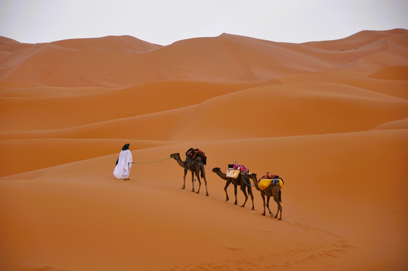 rutas por marruecos ali Desierto de Zagora o Merzouga 1
