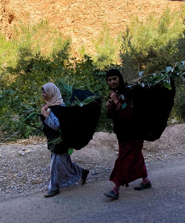 Campesinas en el valle del Dadès
