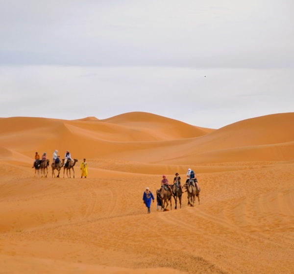 Desierto de Merzouga (Erg Chebbi): cómo vivir la auténtica experiencia del Sahara de Marruecos 2 Caravana de dromedarios en el desierto de Merzouga