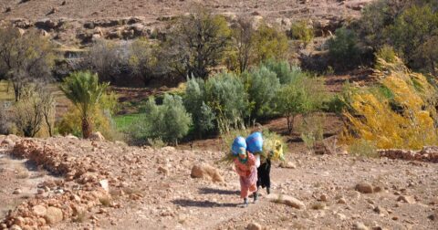 rutas por marruecos ali el valle de ounila de rutas por marruecos 1