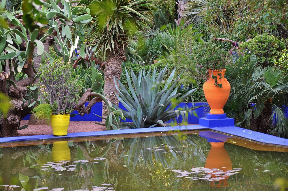rutas por marruecos ali merece la pena visitar el jardin majorelle en marrakech 3