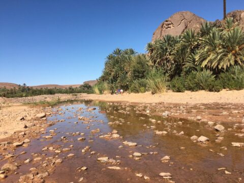 rutas por marruecos ali oasis fint 2