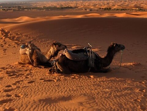 rutas por marruecos ali quieres viajar al desierto de marruecos 1