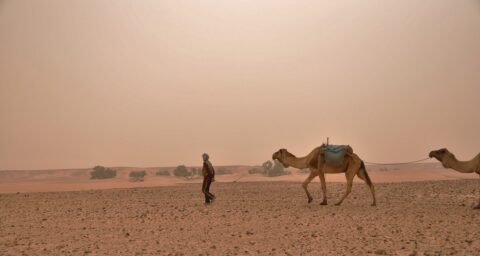 rutas por marruecos ali trekking 2