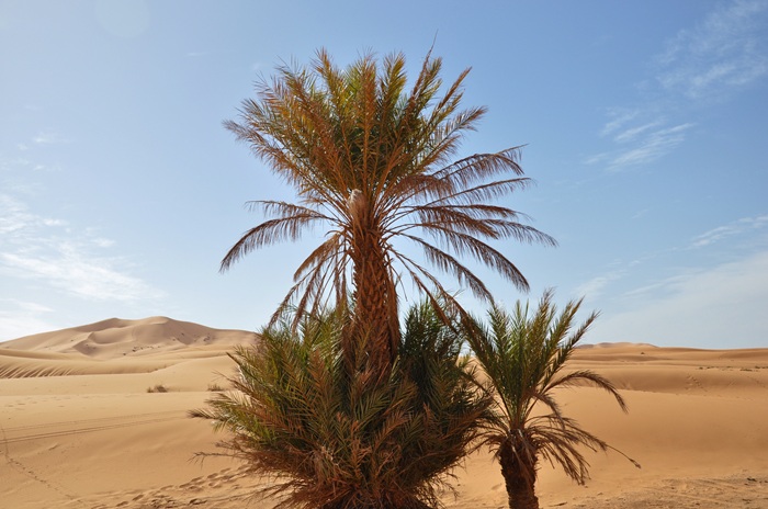 rutas por marruecos ali chigaga o merzouga 5