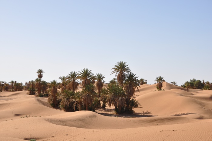 rutas por marruecos ali desierto chigaga marruecos 4