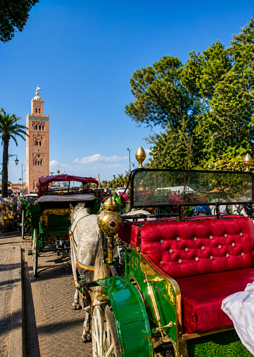 Marrakech, Marrakech y siempre... Marrakech 6 La Koutoubia de Marrakech vista desde las carrozas de la Plaza Jemaa El Fna
