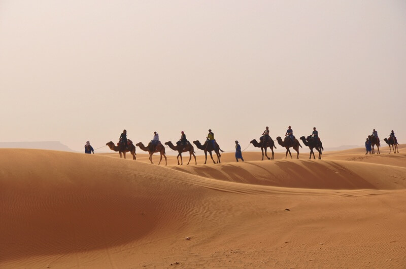 Rutas privadas por Marruecos con una agencia local especializada en un único destino 3 Caravana de dromedarios entre las dunas de Erg Chebbi en Merzouga