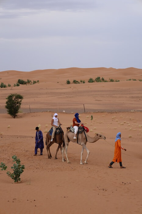 Marruecos en 7 días: viajar por el país en una ruta privada 2 Dromedarios en el desierto de Merzouga